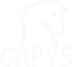 Capys Consulting GmbH